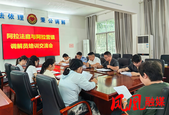 凤凰法院到阿拉营镇开展人民调解司法确认专项培训