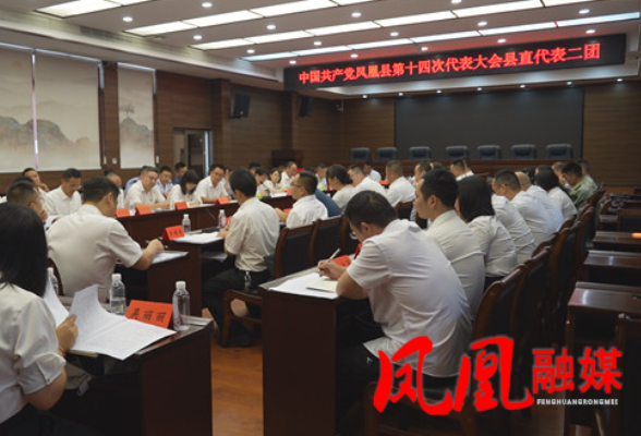 聚焦党代会|樊忠清参加凤凰县第十四次党代会各代表团第二次会议