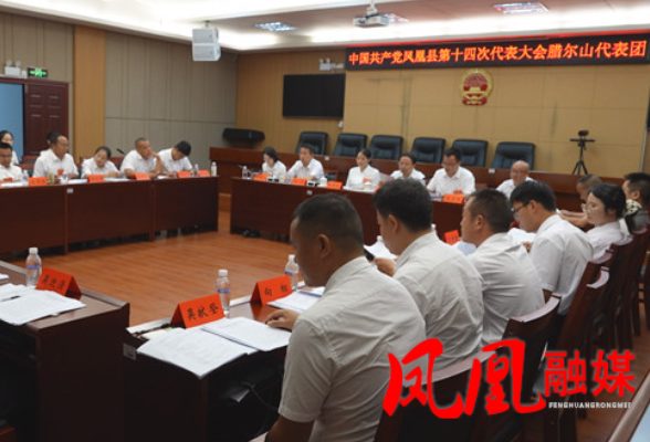 聚焦党代会|凤凰县第十四次党代会代表团第四、五次会议召开