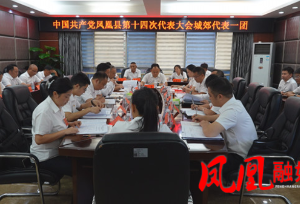 聚焦党代会|樊忠清参加凤凰县第十四次党代会城郊代表一团第三次会议