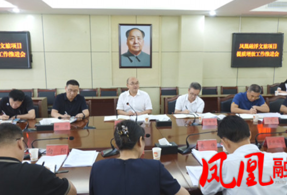 尚生龙专题调研凤凰磁浮文旅项目提质增效工作
