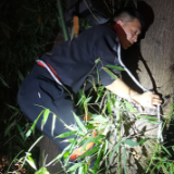 凤凰古城公益消防救援队助力多名游客找回“丢失的风景”