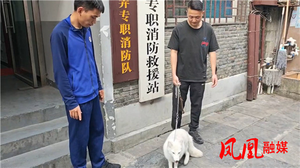 古城东门城楼惊现狐狸消防快速处置[00_02_24][20250415-091148].jpg