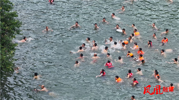 Still0531_00007.jpg Still0531_00007.jpg