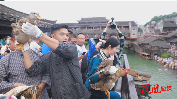 Still0531_00022.jpg Still0531_00022.jpg