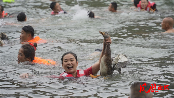 Still0531_00012.jpg Still0531_00012.jpg