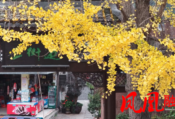 凤凰古城:初冬暖阳映古城 灵秀之美醉游人