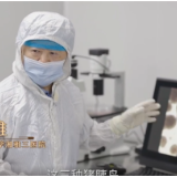 十年家国十年心 第 46集 《这头猪100万我都不卖》