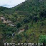 十年家国十年心：守护湘江“第一滴水” 
