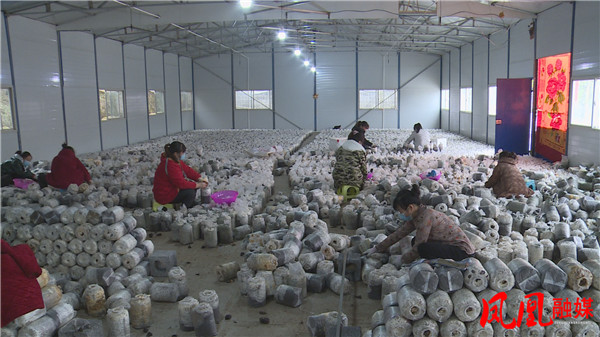 Still1221_00055.jpg Still1221_00055.jpg