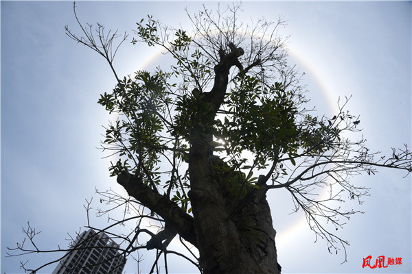 图片11.jpg 图片11.jpg