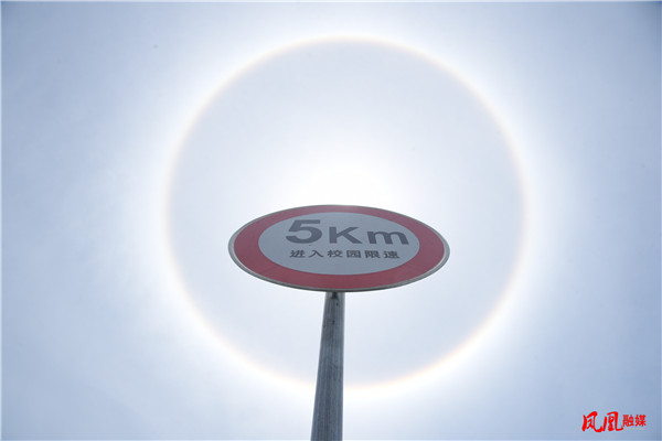 图片12.jpg 图片12.jpg