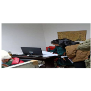 湘西州电影服务中心带队督查凤凰县影院疫情防控和安全放映工作