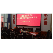 凤凰县医疗保障局党组召开党史学习教育专题民主生活会