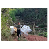 凤凰县沱江镇：清理白色垃圾  共建美丽家园