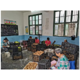 凤凰县廖家桥镇林寨村：猕猴桃粗加工为群众拓展增收渠道