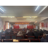 凤凰县禾库镇：多措并举开展安全整治行动，守护辖区安全