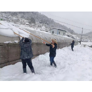 凤凰县阿拉营镇新岩村：闻雪而动  扫雪除冰保民生