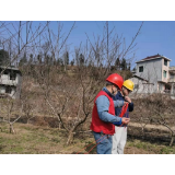国网凤凰县供电公司：春季安全大检查之一 ——“防雷行动”