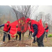 凤凰县官庄学区：村校党建融合  共绘美丽乡村