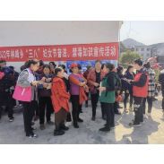 凤凰县林峰乡：开展“三八”妇女节普法、禁毒知识宣传活动
