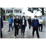 杨平利深入学校调研教育工作