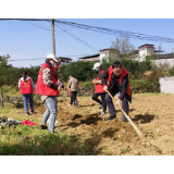 喜迎二十大·全域文明创建在行动丨凤凰：聚文明力量  绘文明底色 助推文明城市创建