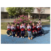 喜迎二十大·全域文明创建在行动丨凤凰县箭道坪小学土桥路校区：创建文明城市   争做文明市民