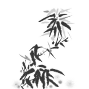 那一片凤羽