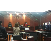 凤凰法院：战“疫”不停歇 视频开庭审理刑事案件