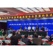 凤凰县：点“知”成“金”，  实现知识产权融资“零的突破”