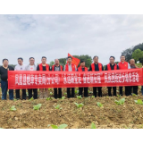 凤凰县烟草专卖局（分公司）：三措并举奏响民族团结进步三部曲