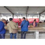 喜迎二十大·全域文明创建在行动丨凤凰县水打田乡：开展网络文明主题教育宣传活动     志愿服务助推网络文明建设