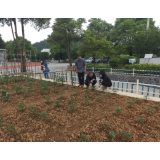 凤凰县落潮井小学：诗意菜园种植笑脸