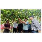 凤凰县：召开2022年科技活动周暨科技专家服务团小分队授旗仪式工作会议