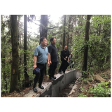 凤凰县茶田镇： 汛期严守安全线   切实保障群众生命财产安全