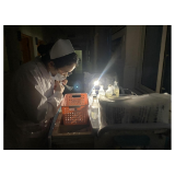 凤凰县民族中医院：“小灯光 大能量”