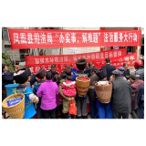 凤凰县:加强农村法治宣传  助力乡村振兴战略