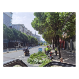 文明创建在行动丨凤凰：修剪遮挡标牌树木  助力文明城市创建