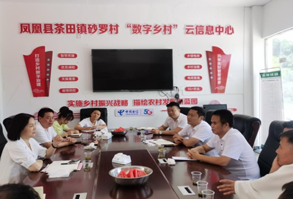 州政协党组成员、副主席陈文君带领州政协一行到茶田调研指导乡村振兴、委员工作室工作