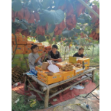 凤凰县信访局：直播带货进乡村  助农增收促振兴