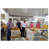 州烟办主任刘毅深入凤凰调研烟叶收购工作