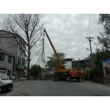 凤凰县吉信镇：清理枯树消除道路交通安全隐患