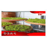 2023年10月12日湖南凤凰新闻