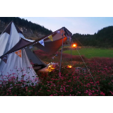 凤凰县千工坪镇：荞麦花开，助推文旅融合