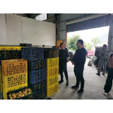 凤凰县千工坪镇：扎实开展联企服务，为企业发展助力添彩
