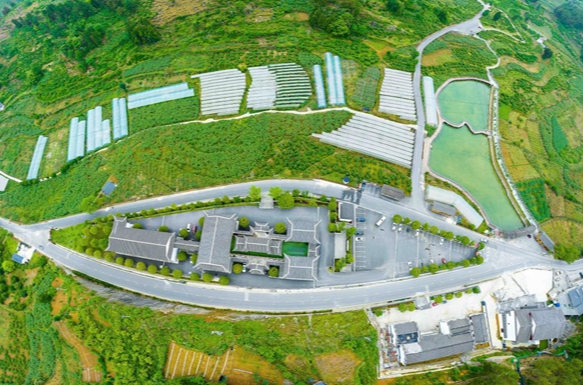 十年山乡巨变—凤凰县菖蒲塘村的幸福答卷（三）：和美乡村气象新