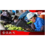 2023年11月17日湖南凤凰新闻