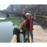 凤凰县古城社区：禁鱼禁捕筑牢“生态安全线”