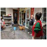 凤凰县沱江镇南华社区：扎实推进犬只管理整治工作，助力优化营商环境